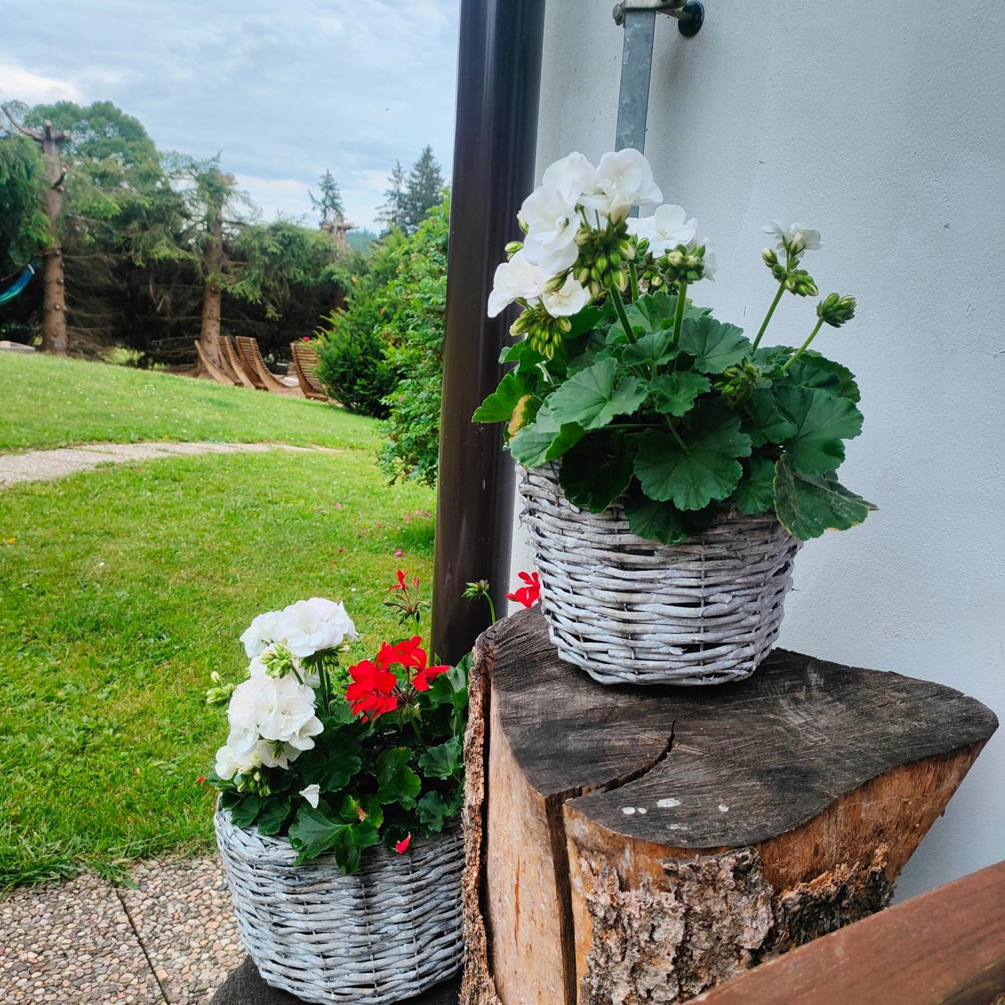 Hotel U Tomíčků Paseky nad Jizerou Exteriér fotografie